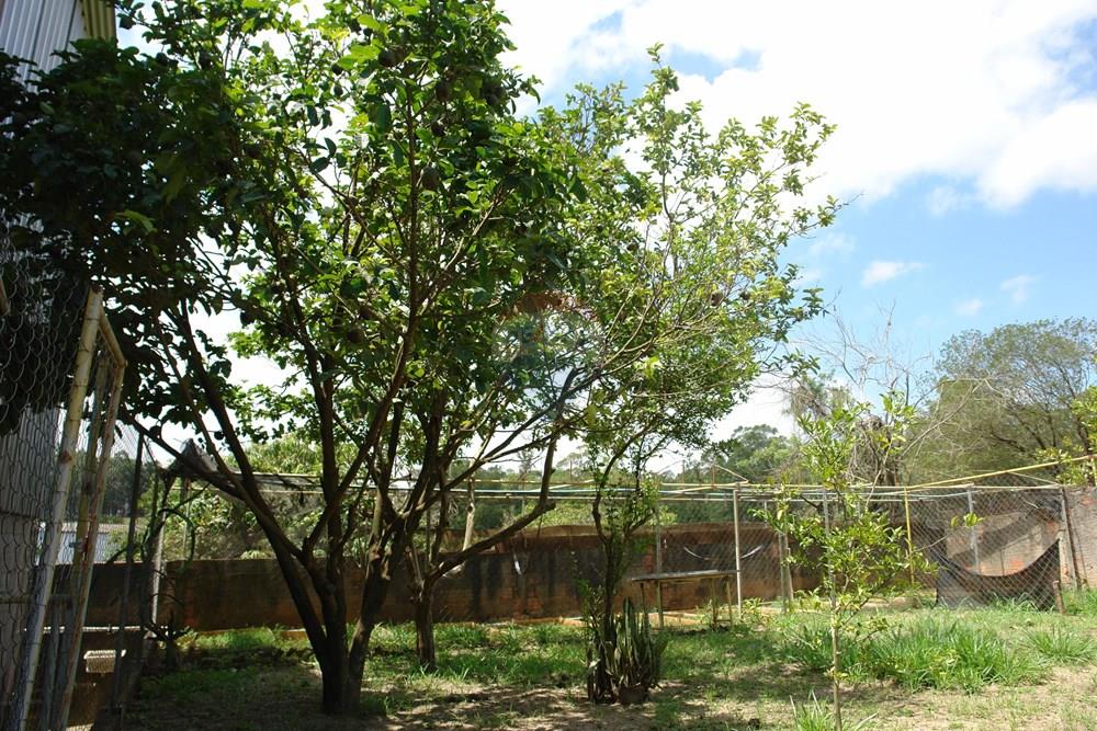 Galpão - Alugar - Votorantim , São Paulo - DSC00633.JPG - 631701010-5