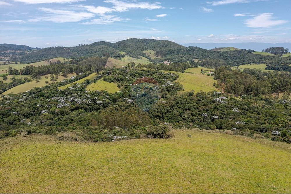 Chácara / Sítio / Fazenda - Venda - Guaratinguetá , São Paulo - FazendaITAJIBA-41.jpg - 630961014-63