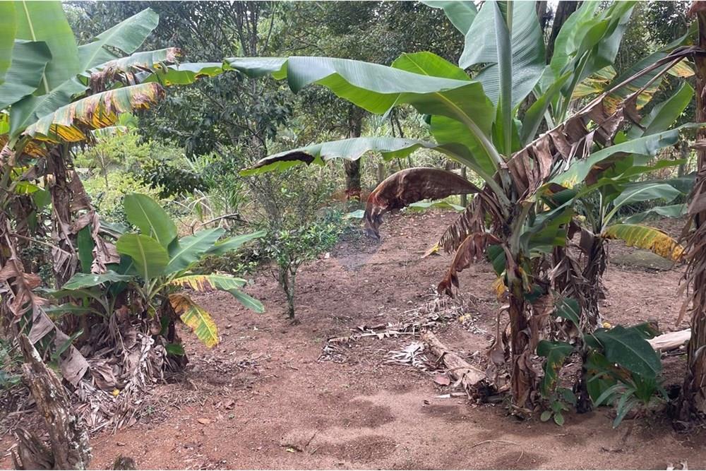 Chácara à venda com 2 quartos, 15340m² - Foto 14