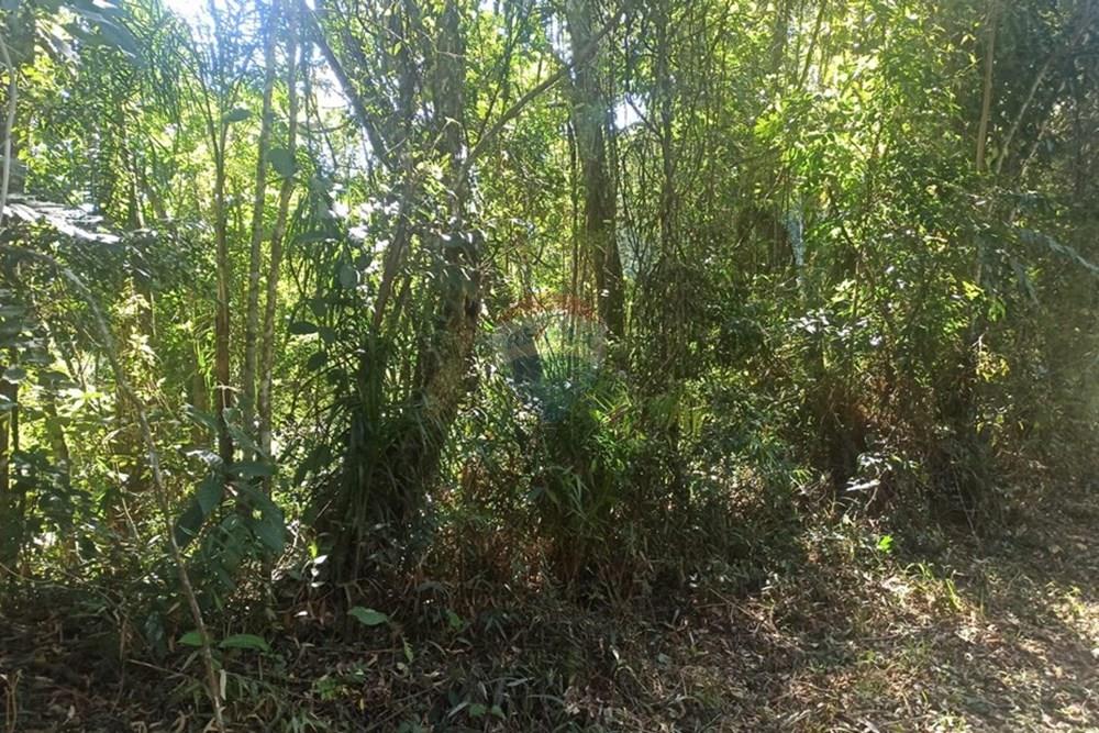 Terreno - Venda - Mairiporã , São Paulo - WhatsApp Image 2025-07-31 at 01.49.05.jpeg - 631361025-34