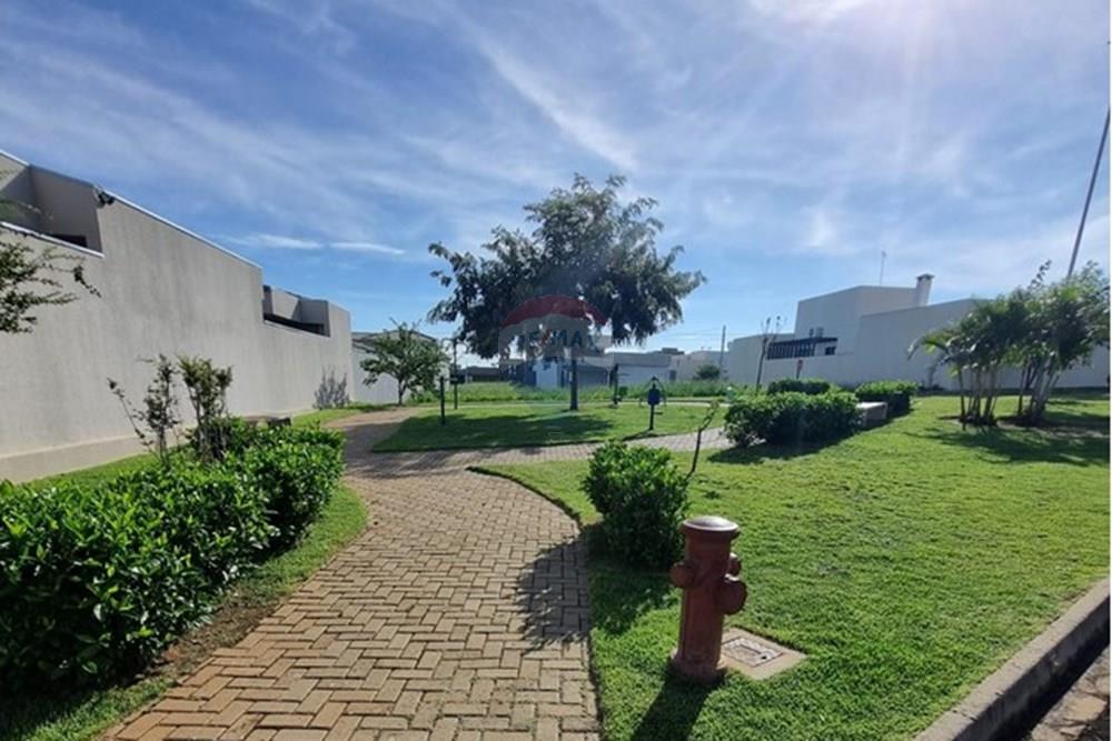 Terreno - Venda - Lins , São Paulo - WhatsApp Image 2025-02-17 at 22.12.44 (1).jpeg - 630511034-12