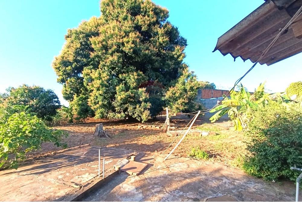 Casa - Venda - Andradina , São Paulo - Quintal 1.jpg - 631201011-93