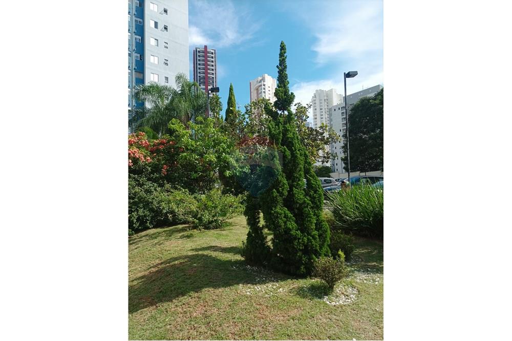 Apartamento - Alugar - Sorocaba , São Paulo - IMG_20250211_154221.jpg - 630601308-14