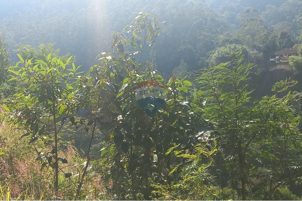 Terreno - Venda - Nova Friburgo , Rio de Janeiro - WhatsApp Image 2025-06-09 at 09.55.47.jpeg - 630551037-30