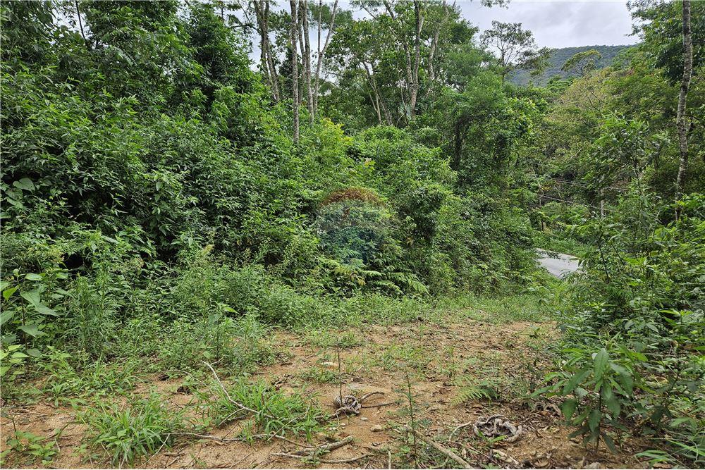 Residential - भूमि - Nova Friburgo , रिओ डे जैनेरो - BR - 44 - 630551016-143