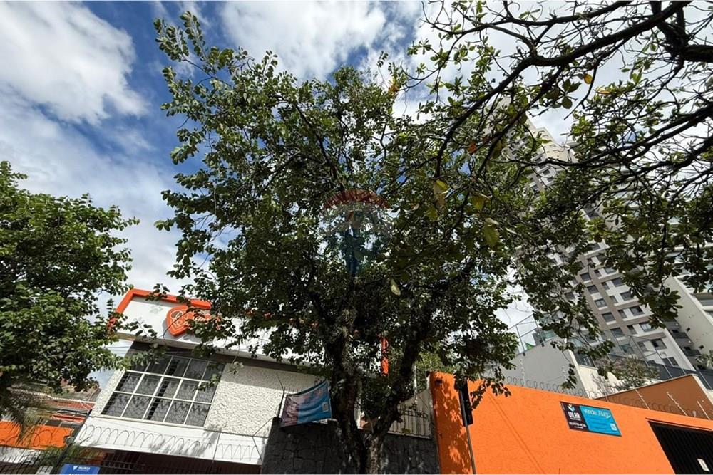 Casa Comercial - Alugar - Sorocaba , São Paulo - WhatsApp Image 2026-03-10 at 20.02.50.jpeg - 630601276-10