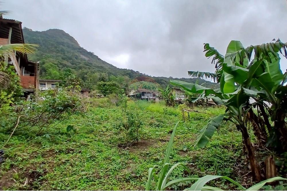 Terreno - Venda - Caraguatatuba , São Paulo - 20251009_101058.jpg - 631571013-20