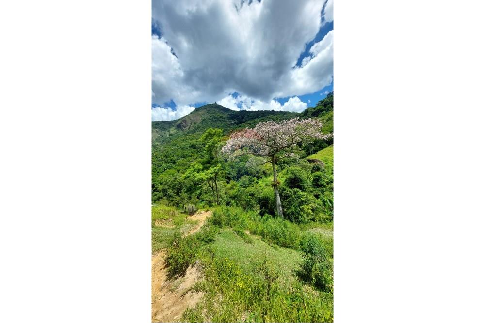 Chácara / Sítio / Fazenda - Venda - Macaé , Rio de Janeiro - 82b75b23-03a4-4478-89b5-c82b1ab217df.jpeg - 630361003-106