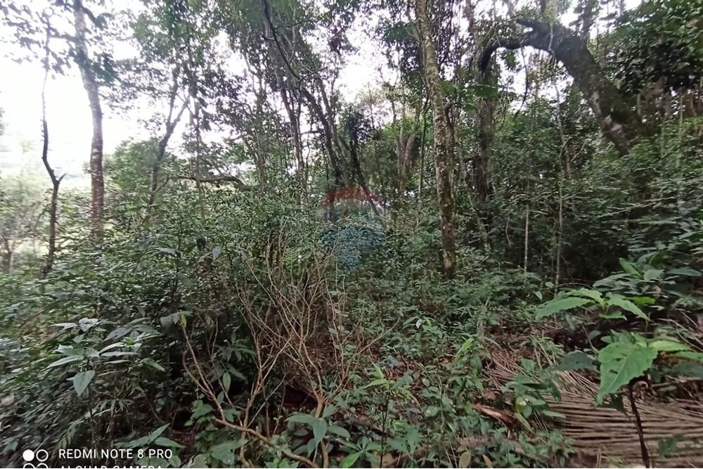 Terreno - Venda - Mairiporã , São Paulo - WhatsApp Image 2025-07-28 at 23.50.17 (2).jpeg - 631361025-37