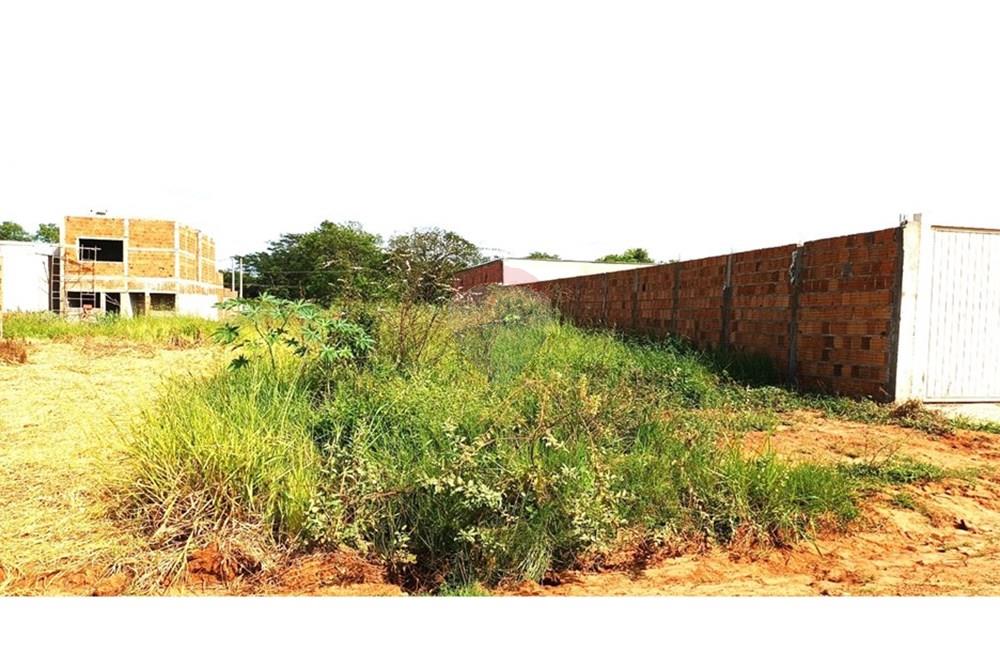 Terreno - Venda - Andradina , São Paulo - Terreno.jpg - 631201014-45