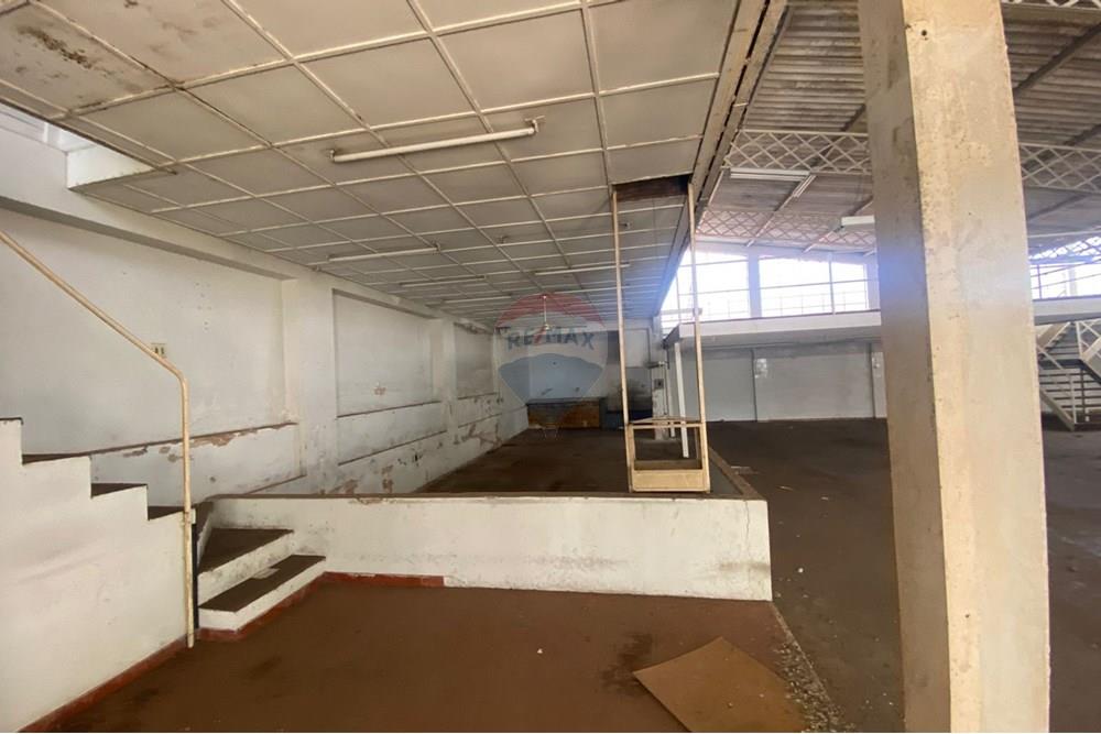 Galpão - Alugar - Botucatu , São Paulo - WhatsApp Image 2025-02-11 at 15.52.22.jpeg - 630481079-234