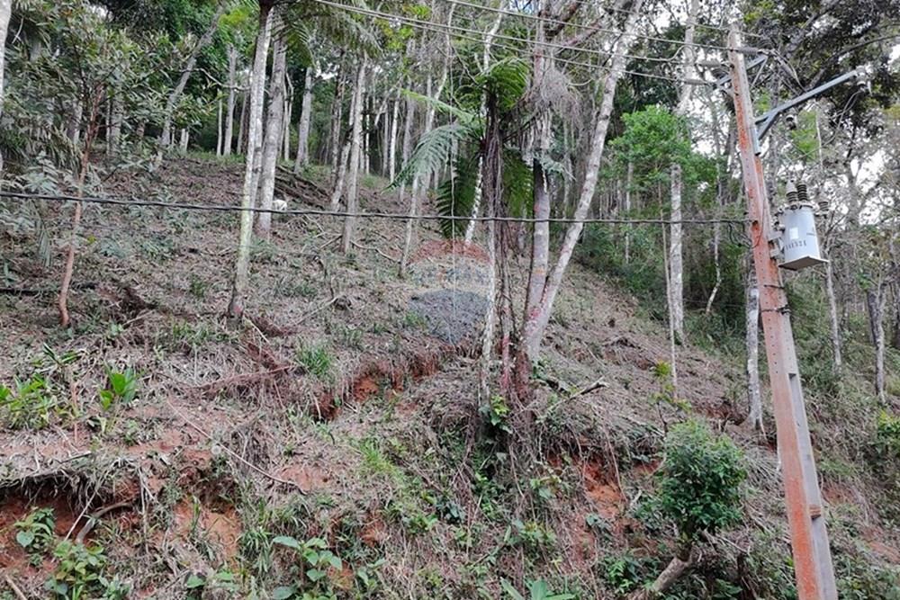 Terreno - Venda - Teresópolis , Rio de Janeiro - DJI_20251223091525_0227_D.JPG - 630191109-14