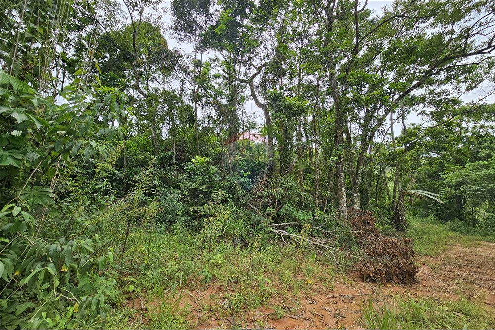 Residential - भूमि - Nova Friburgo , रिओ डे जैनेरो - BR - 39 - 630551016-143