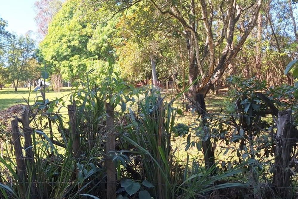 Casa de Campo - Venda - Araçoiaba da Serra , São Paulo - WhatsApp Image 2025-10-11 at 14.15.35 (1).jpeg - 630591061-147