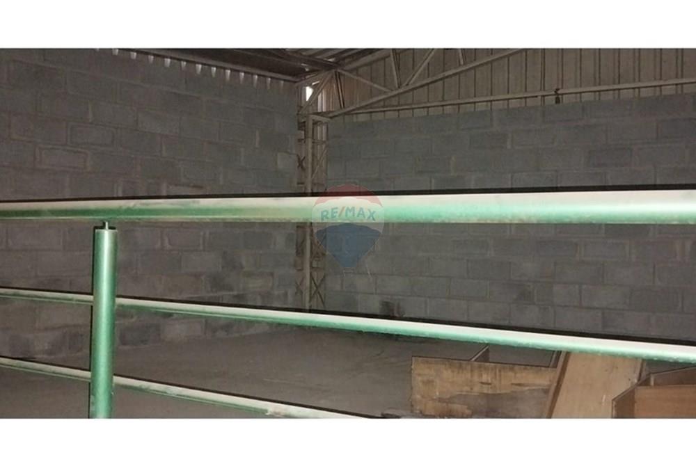 Galpão - Alugar - Mairiporã , São Paulo - galpao.jpg - 631361005-162