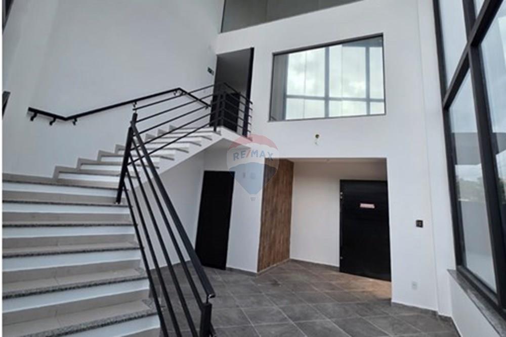 Ponto Comercial - Alugar - Mogi das Cruzes , São Paulo - WhatsApp Image 2026-03-19 at 16.02.53 (1).jpeg - 630281089-25