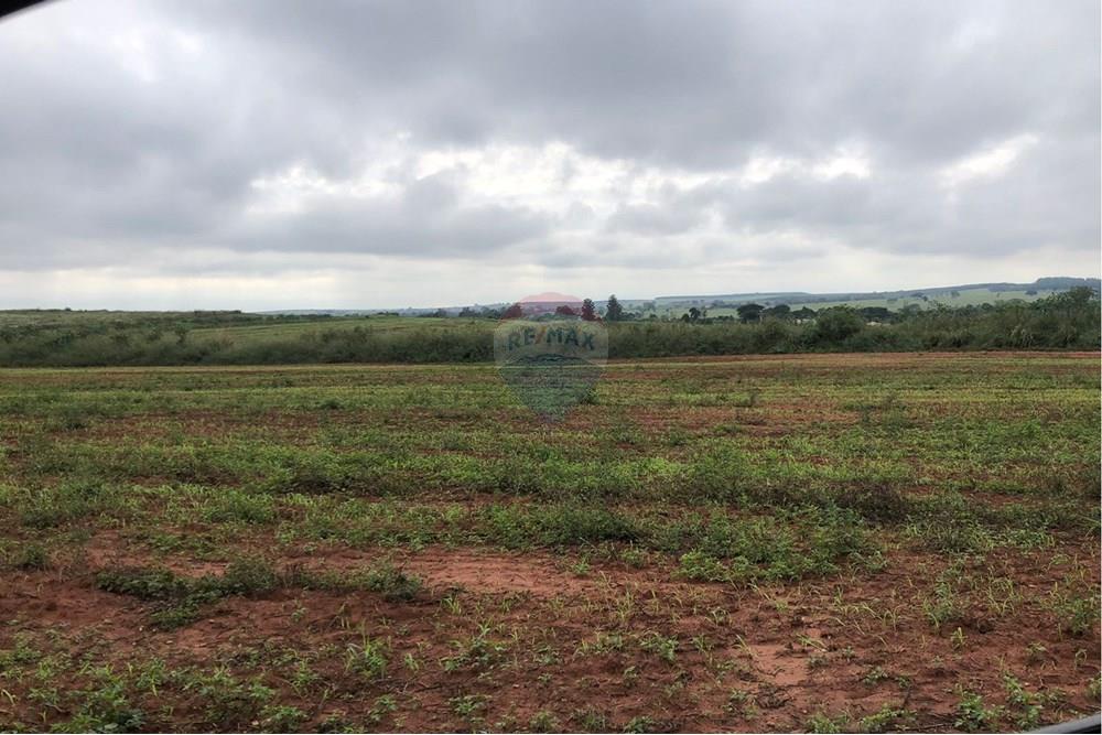 Terreno - Venda - Tupã , São Paulo - IMG-20250723-WA0058.jpg - 630151057-35