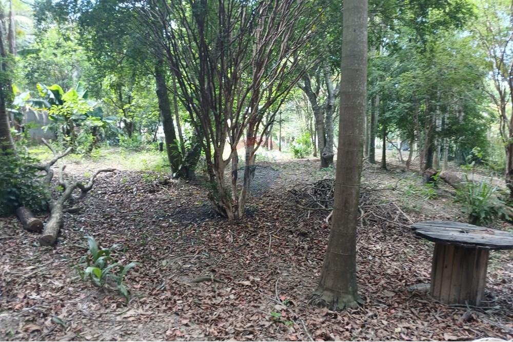 Chácara / Sítio / Fazenda - Venda - Salto de Pirapora , São Paulo - 220.jpeg - 631181053-21