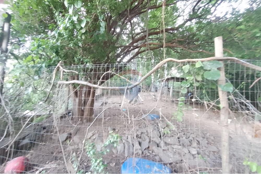 Terreno - Venda - Paraíba do Sul , Rio de Janeiro - IMG_20241127_180134.jpg - 631411001-102