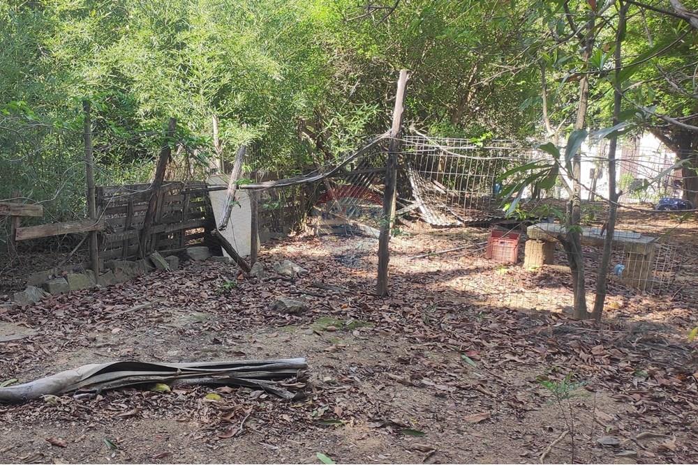 Terreno - Venda - Paraíba do Sul , Rio de Janeiro - IMG_20251106_140234.jpg - 631411001-102