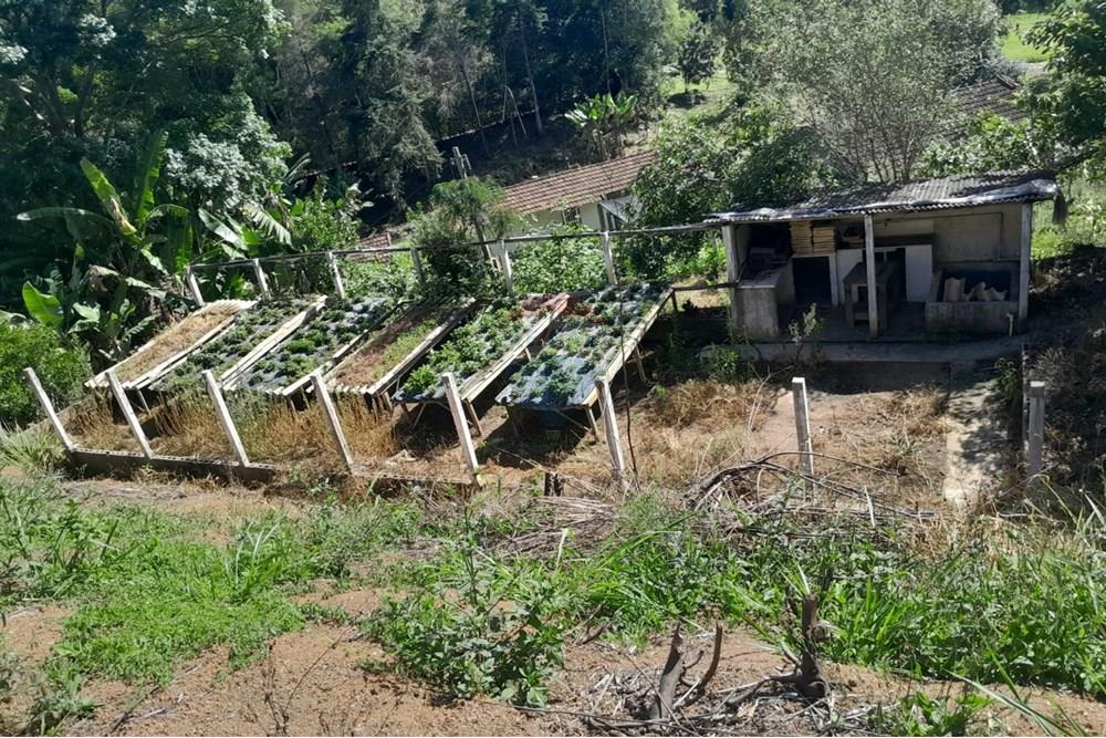 Chácara / Sítio / Fazenda - Venda - Bom Jardim , Rio de Janeiro - WhatsApp Image 2025-12-01 at 10.15.00 (2).jpeg - 630171007-64