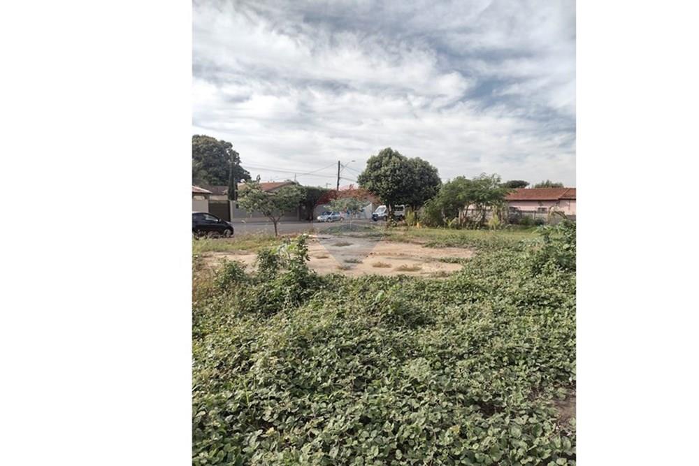 Terreno - Venda - Fronteira , Minas Gerais - 4.jpeg - 631481002-94