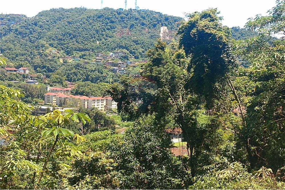 Terreno - Venda - Petrópolis , Rio de Janeiro - 2 - 630131022-38