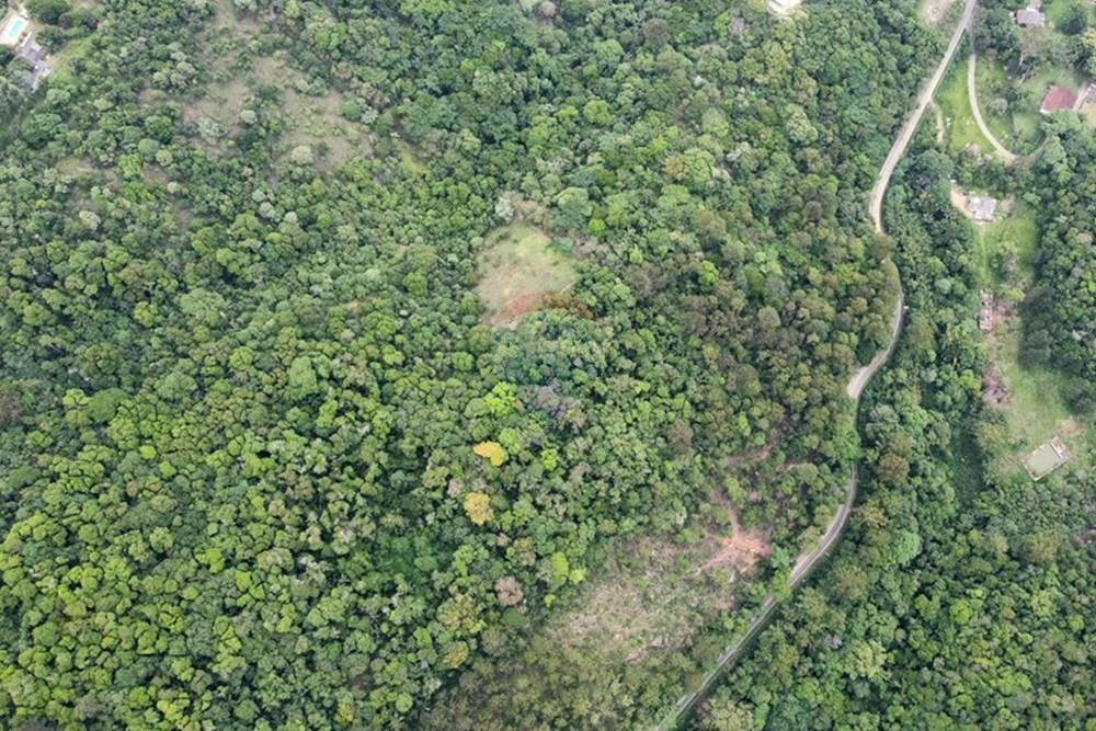 Terreno - Venda - Mairiporã , São Paulo - dji_fly_20251114_111414_822_1763130155626_photo_optimized.jpg - 631361005-166