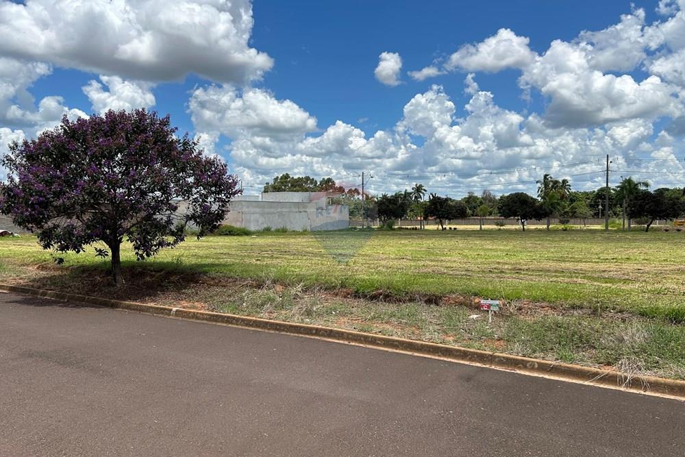 Terreno - Venda - Birigui , São Paulo - IMG_2634.jpeg - 630851049-24