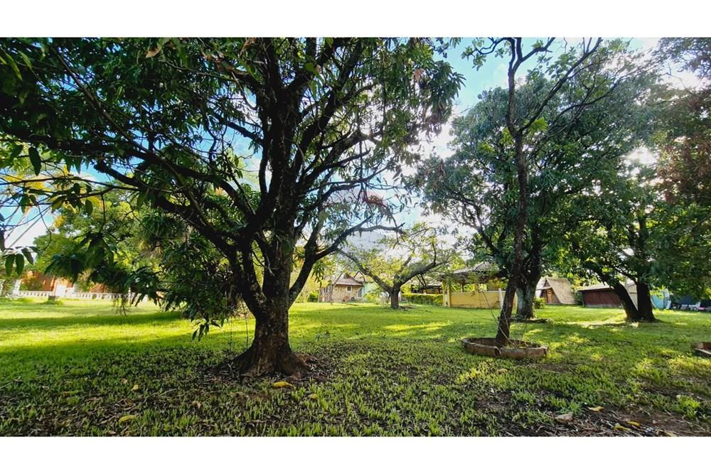 Chácara / Sítio / Fazenda - Venda - Sorocaba , São Paulo - WhatsApp Image 2025-11-17 at 21.43.10 (1).jpeg - 630601221-16