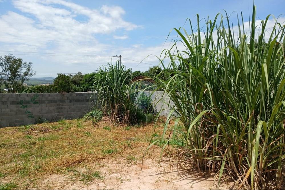 Terreno - Venda - Salto de Pirapora , São Paulo - WhatsApp Image 2026-02-20 at 11.15.46 (2).jpeg - 631181028-101