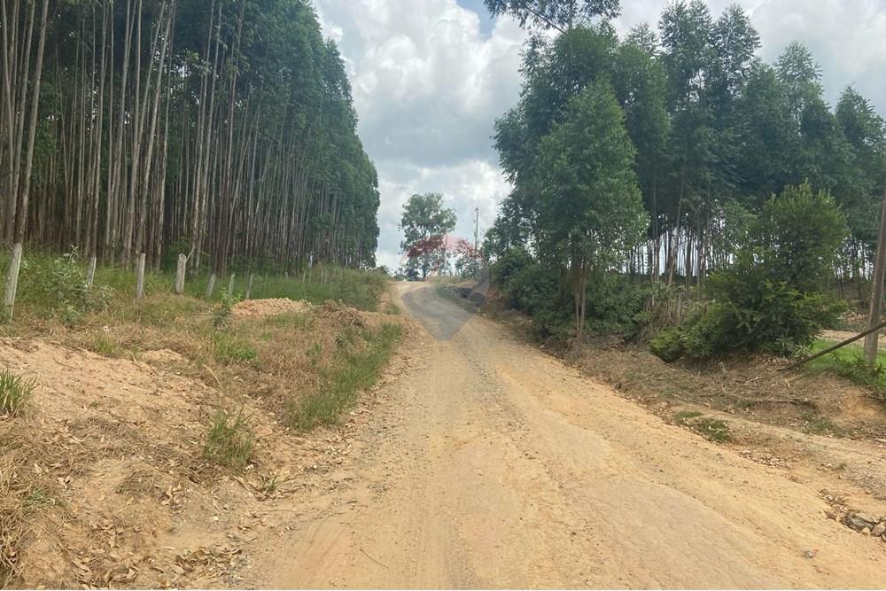 Chácara / Sítio / Fazenda - Alugar - Salto de Pirapora , São Paulo - WhatsApp Image 2025-03-05 at 14.26.15.jpeg - 631181025-207