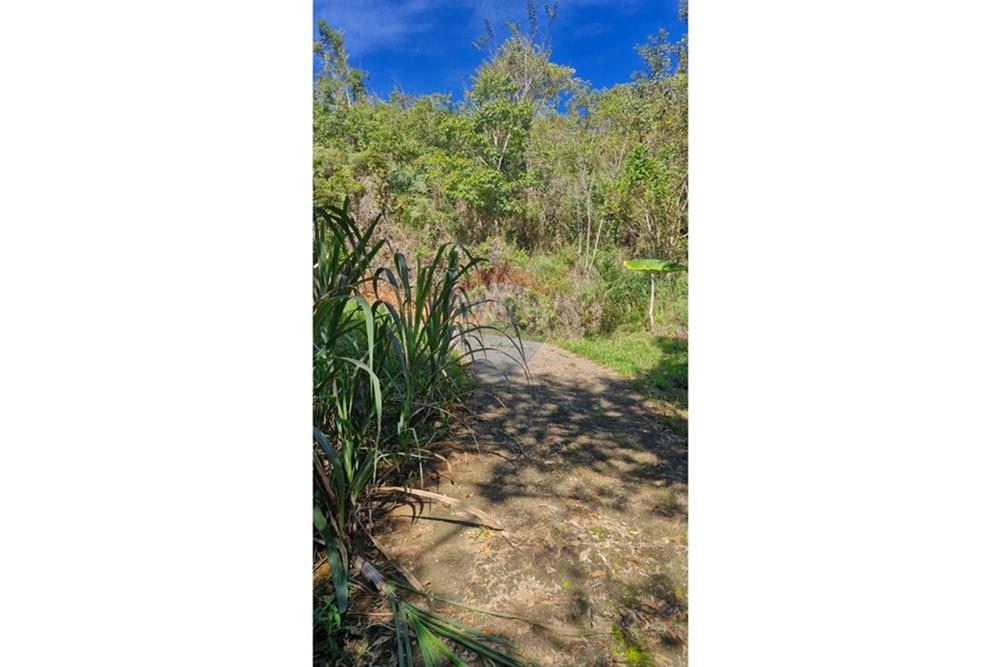 Terreno - Venda - São Roque , São Paulo - WhatsApp Image 2025-07-23 at 22.42.28.jpeg - 631601016-11