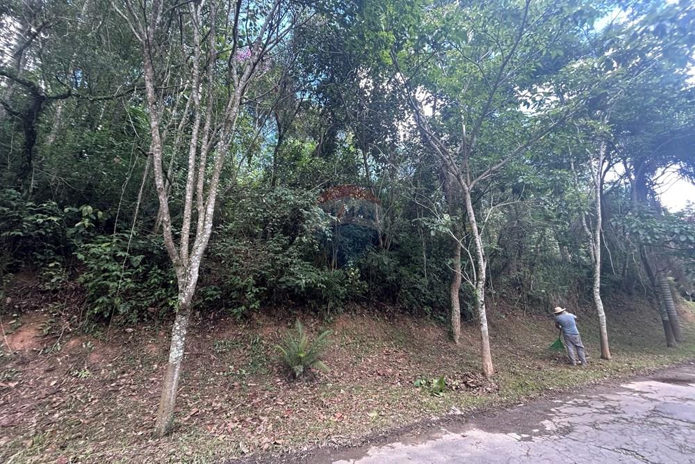 Terreno - Venda - Mairiporã , São Paulo - IMG_6216.jpeg - 631361005-193