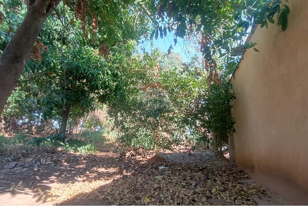 Terreno - Venda - Lins , São Paulo - 01.jpg - 631011048-4