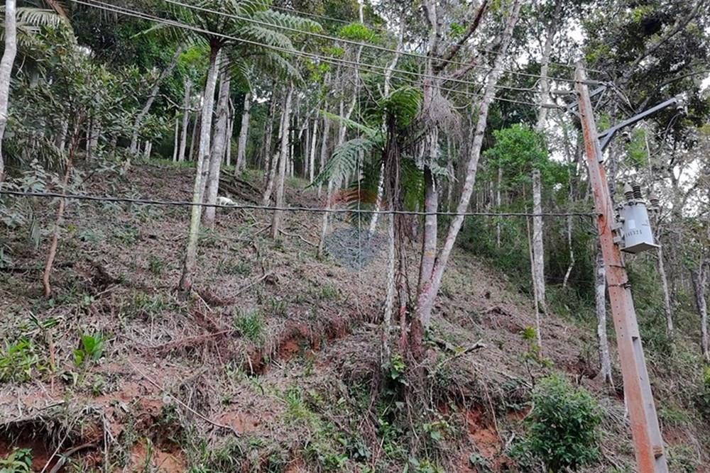 Terreno - Venda - Teresópolis , Rio de Janeiro - DJI_20251223091517_0226_D.JPG - 630191109-14