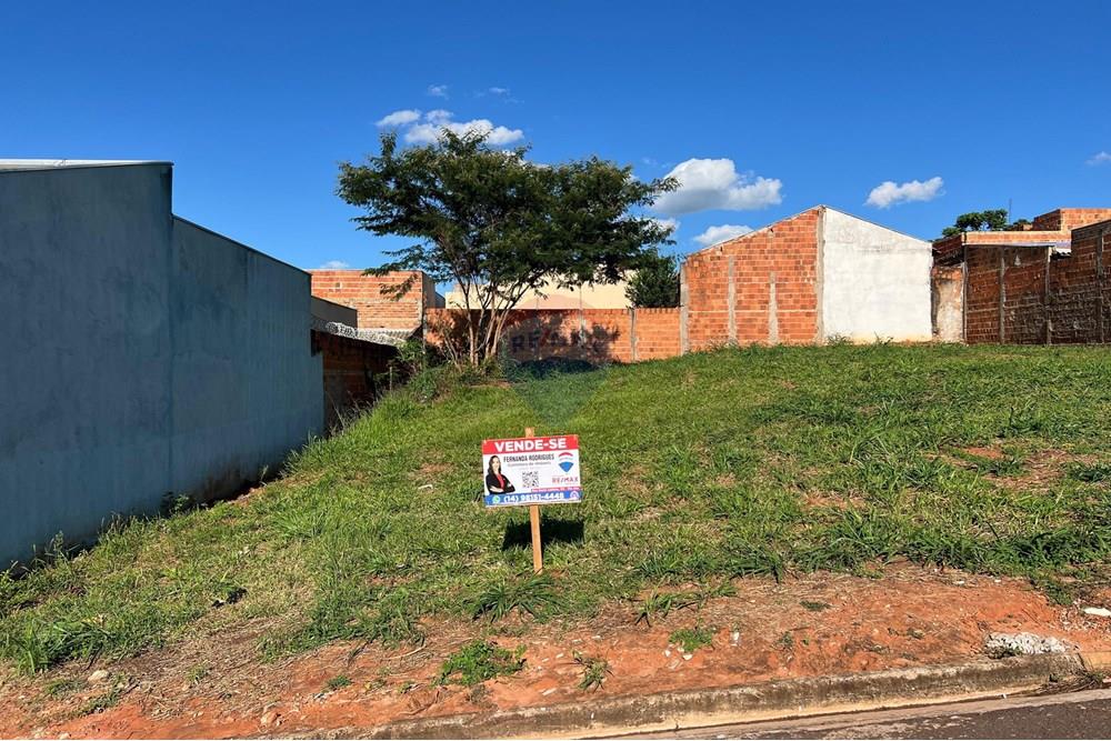 Terreno - Venda - Promissão , São Paulo - WhatsApp Image 2024-12-30 at 16.53.54.jpeg - Quintal - 631011035-8