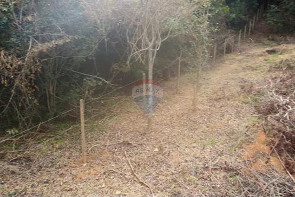 Terreno - Venda - Paraíba do Sul , Rio de Janeiro - 9.jpg - 631611011-3