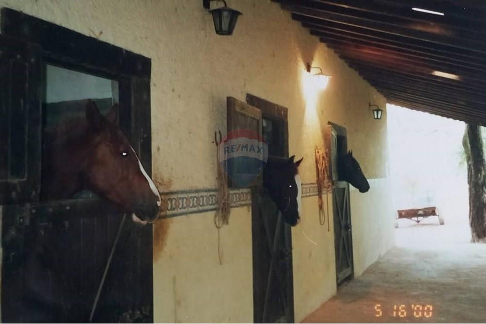 Chácara / Sítio / Fazenda - Venda - Piedade , São Paulo - IMG-20250903-WA0059.jpg - 631701007-2