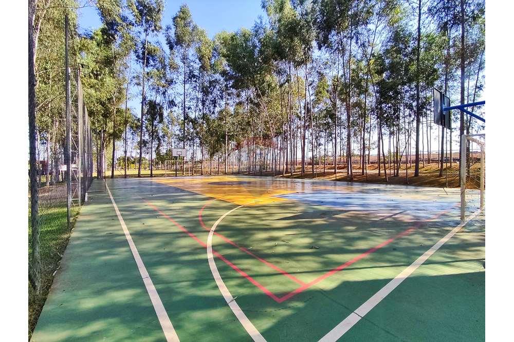 Terreno - Venda - Araçatuba , São Paulo - 1719422190612-01.jpeg - 630851059-65