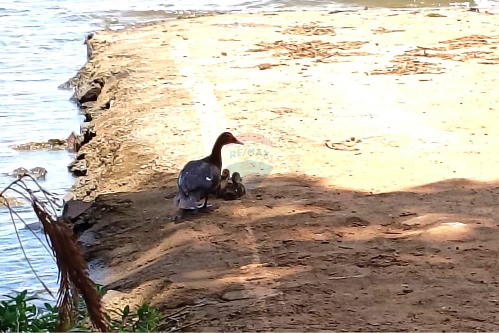 Casa de Campo - Venda - Castilho , São Paulo - Area Lazer 3.jpg - 631201014-77