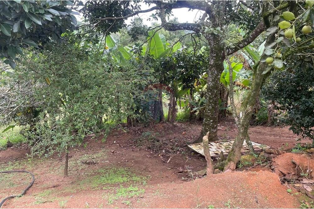Chácara à venda com 2 quartos, 15340m² - Foto 31