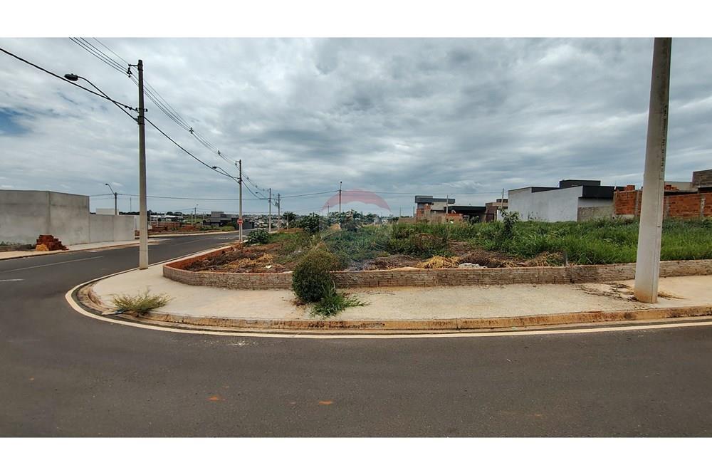 Terreno - Venda - Mirassol , São Paulo - IMG_20251202_115436399_HDR.jpg - 630401039-13