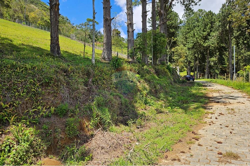 Terreno - Venda - Nova Friburgo , Rio de Janeiro - 20251111_103052.jpg - 630551024-83