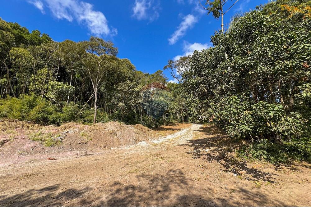 Terreno - Venda - Suzano , São Paulo - 6.jpg - 631371018-45