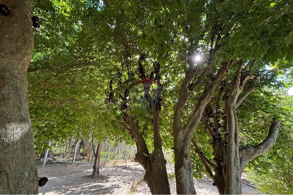 Casa de Campo - Venda - Araçoiaba da Serra , São Paulo - IMG_6239.jpeg - 630591061-149