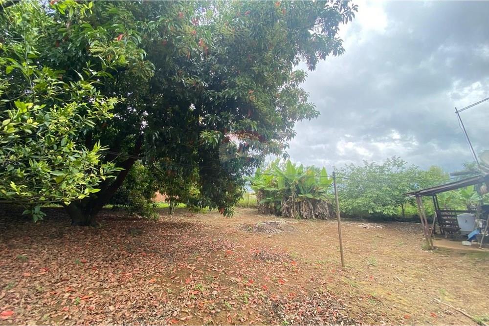 Chácara / Sítio / Fazenda - Venda - Salto de Pirapora , São Paulo - WhatsApp Image 2026-02-10 at 14.42.35 (6).jpeg - 631181052-222