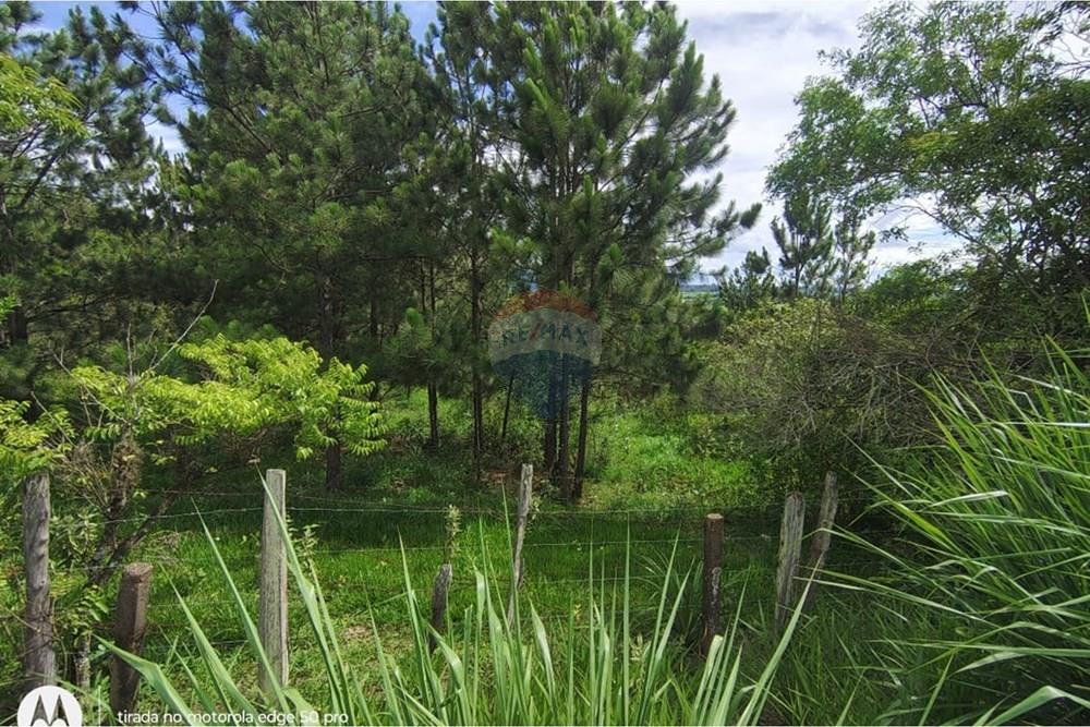 Terreno - Venda - Boituva , São Paulo - WhatsApp Image 2026-03-24 at 15.30.10 (1).jpeg - 630601260-17