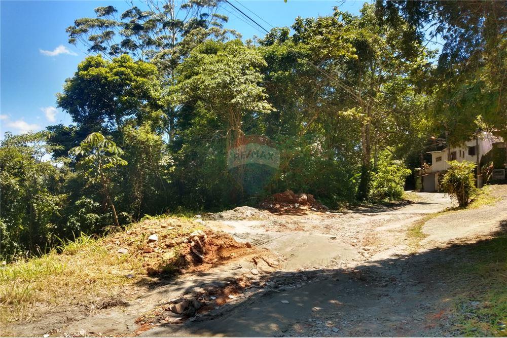 Terreno - Venda - Petrópolis , Rio de Janeiro - 5 - 630131022-38