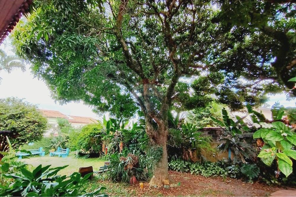 Casa - Alugar - Guarulhos , São Paulo - WhatsApp Image 2026-04-07 at 20.10.14 (5).jpeg - 630251105-136